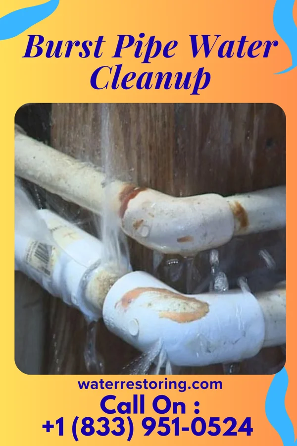 Burst Pipe Water Cleanup in Saylorville, IA