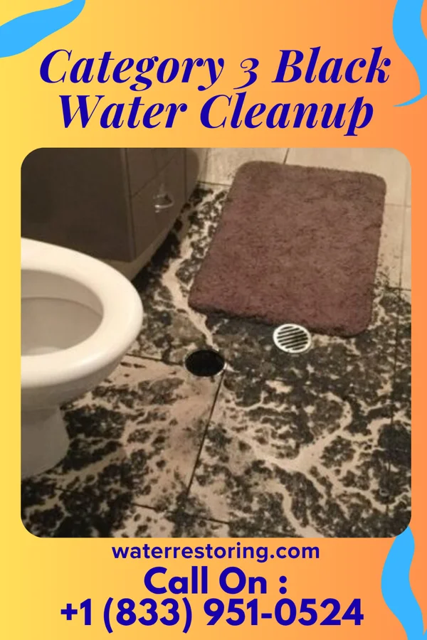 Category 3 Black Water Cleanup in Saylorville, IA