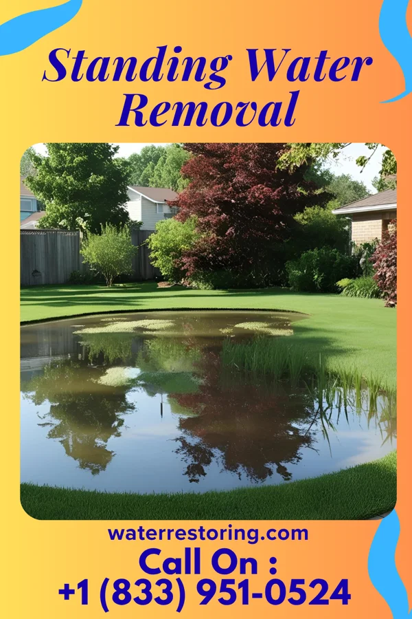 Standing Water Removal in Saylorville, IA